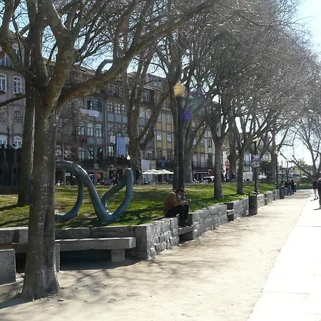 Apartament Downtown Taipas *